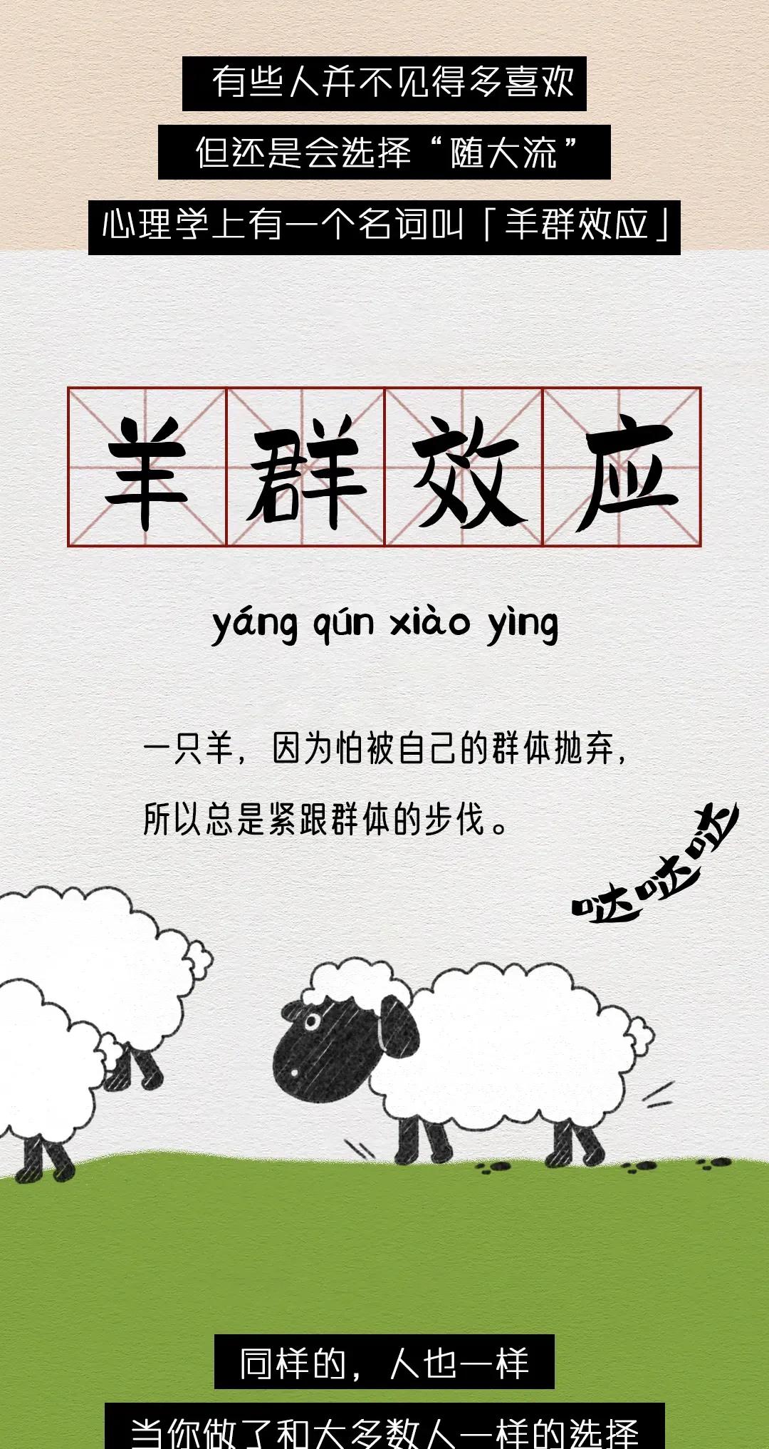 前段时间被羊玩疯的年轻人