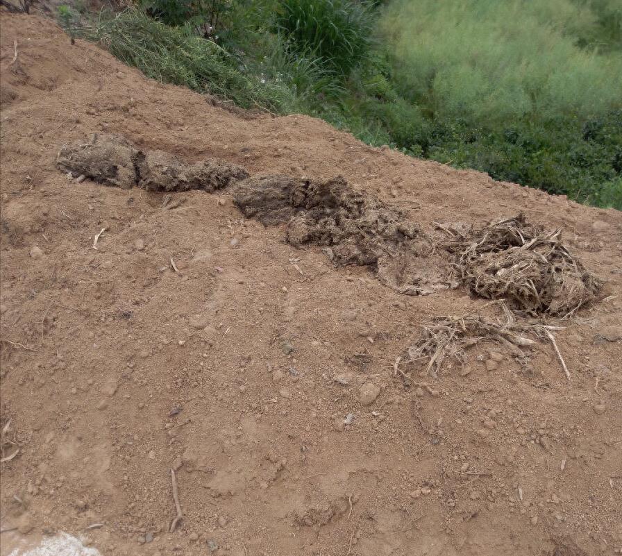 十大至今未破的大案,震惊全国的十大案件排名