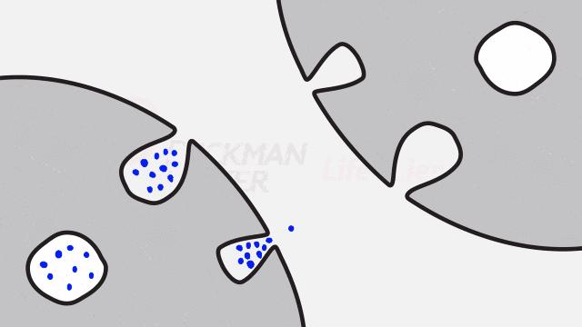 什么叫外泌体护肤,外泌体美容有什么副作用