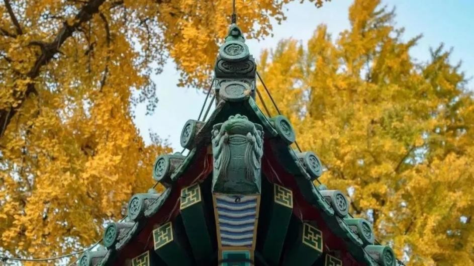 国内60余种罕见病用药获批上市,首批21种罕见病用药品目录