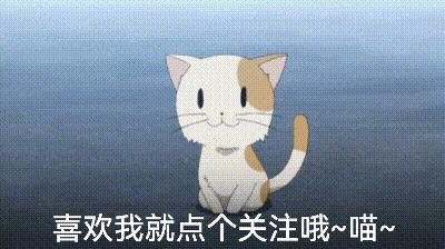 十二星座最适合养猫还是狗,十二星座不适合养的狗狗