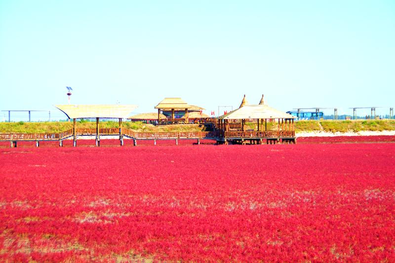 辽宁盘锦在哪个地方,去盘锦旅游哪里好