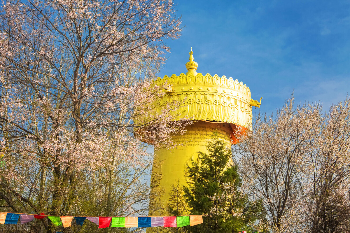 云南香格里拉旅游攻略自由行攻略,云南香格里拉自由行旅游攻略大全