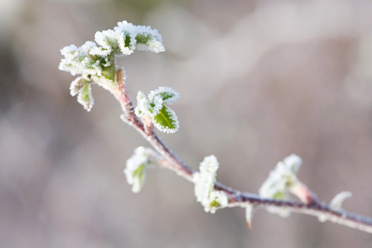 这50句惊艳诗词带你领略寒冬之美,关于冬日的唯美诗词