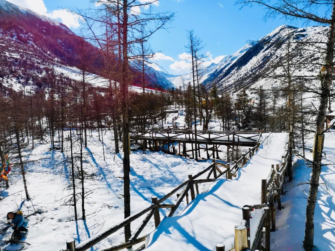 不到3000玩7天！“全网呼声最高”的冬日游天花板，非它莫属！