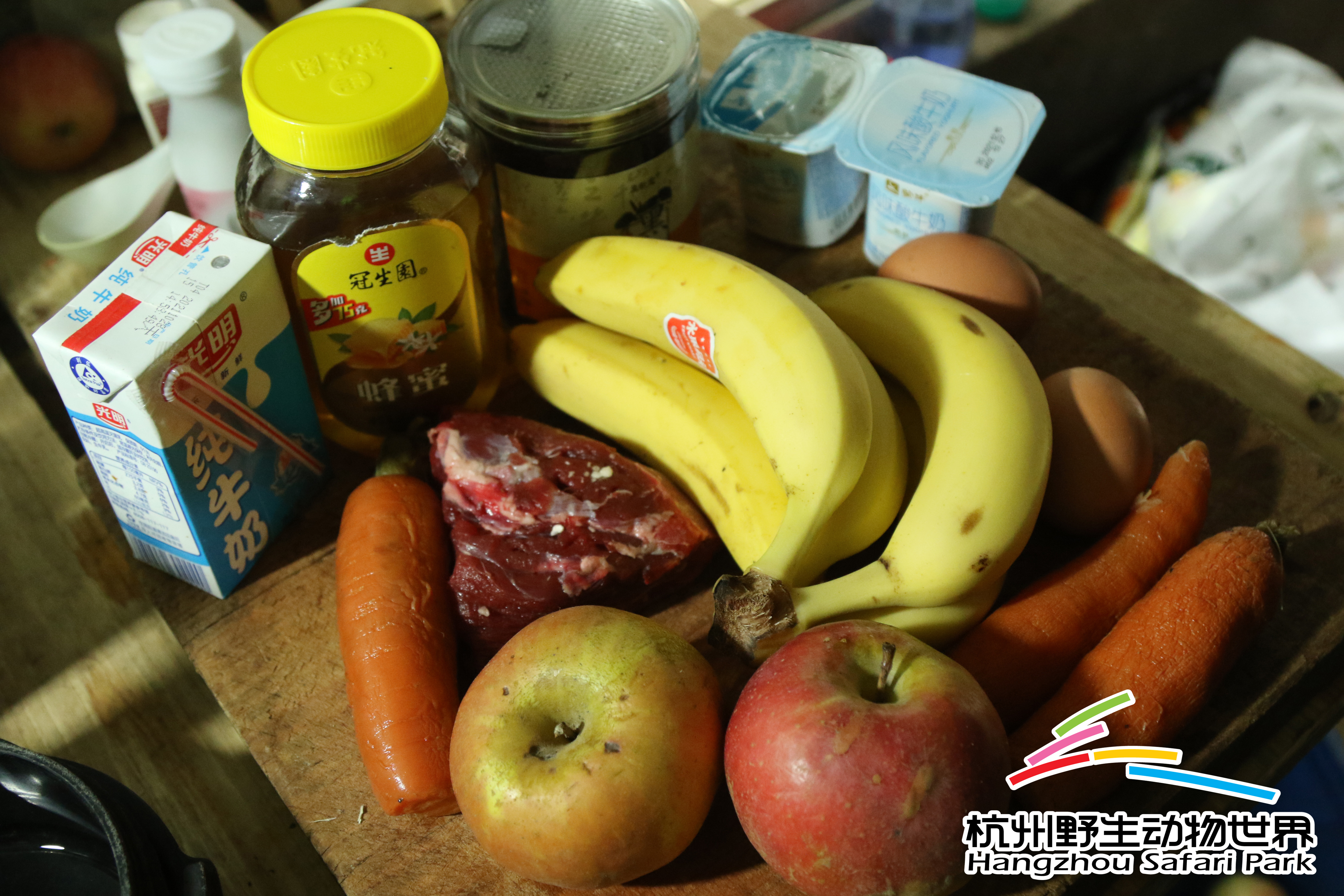 寒潮来袭冻真格,杭州野生动物世界过冬