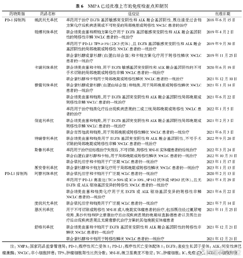 Ⅳ期原发性肺癌中国治疗指南（2023年版）