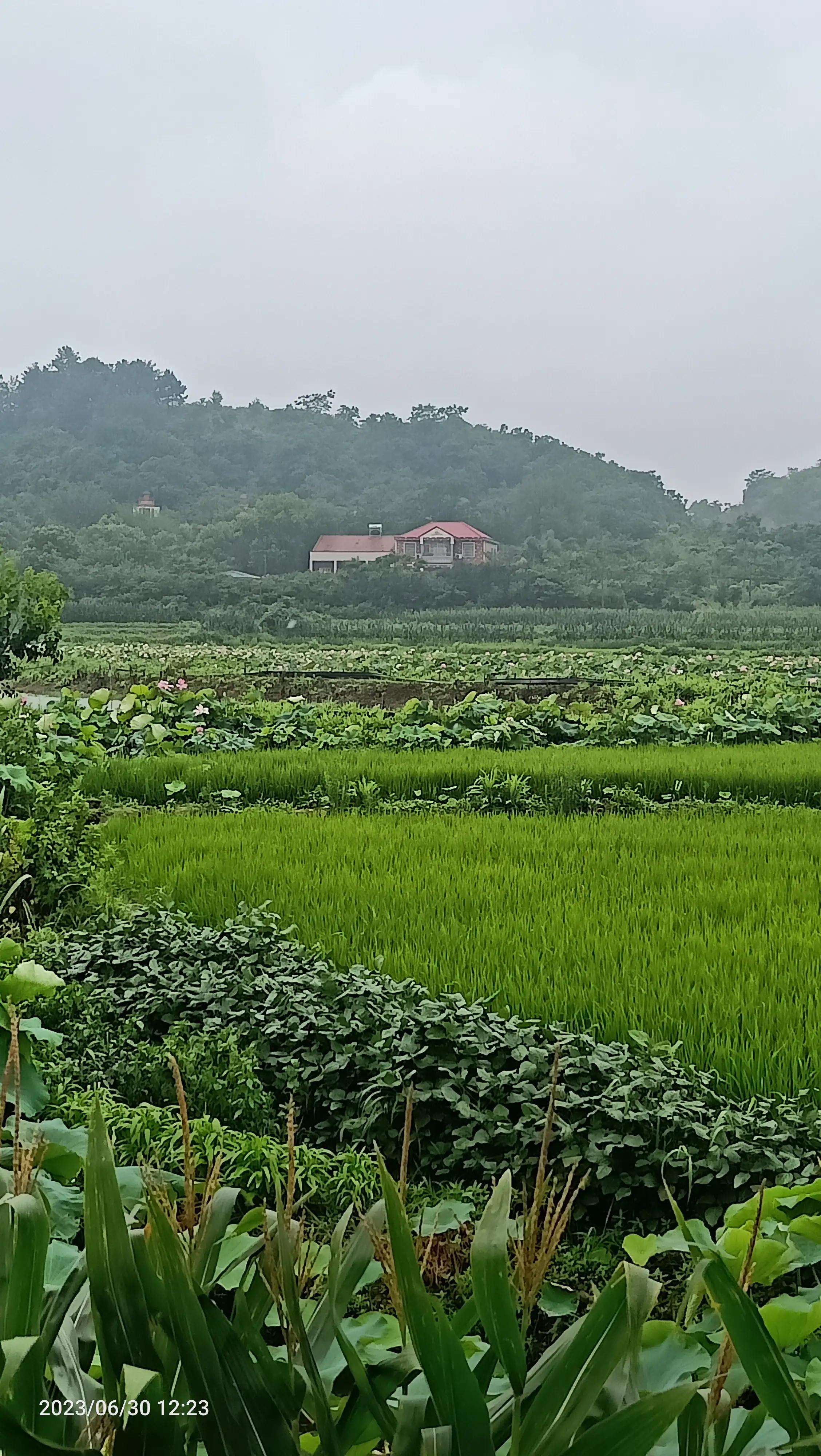 沌口海尔工业园叉车,武汉市蔡甸区东荆河路海尔工业园