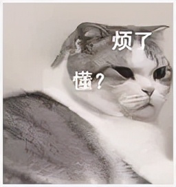 by2妹妹评价王力宏,by2妹妹怎么样了