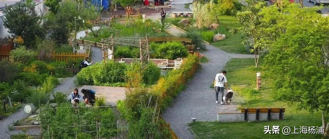 近一周发生的热点体育新闻,近一周的体育新闻大事热点