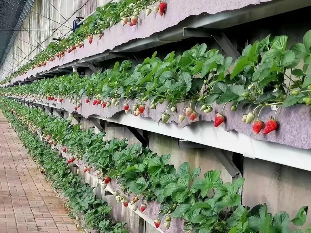 辽宁葫芦岛最新疫情防控情况,葫芦岛企业疫情防控工作