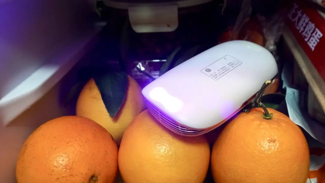 冰箱除味杀菌净化器,中山市杀菌除味器