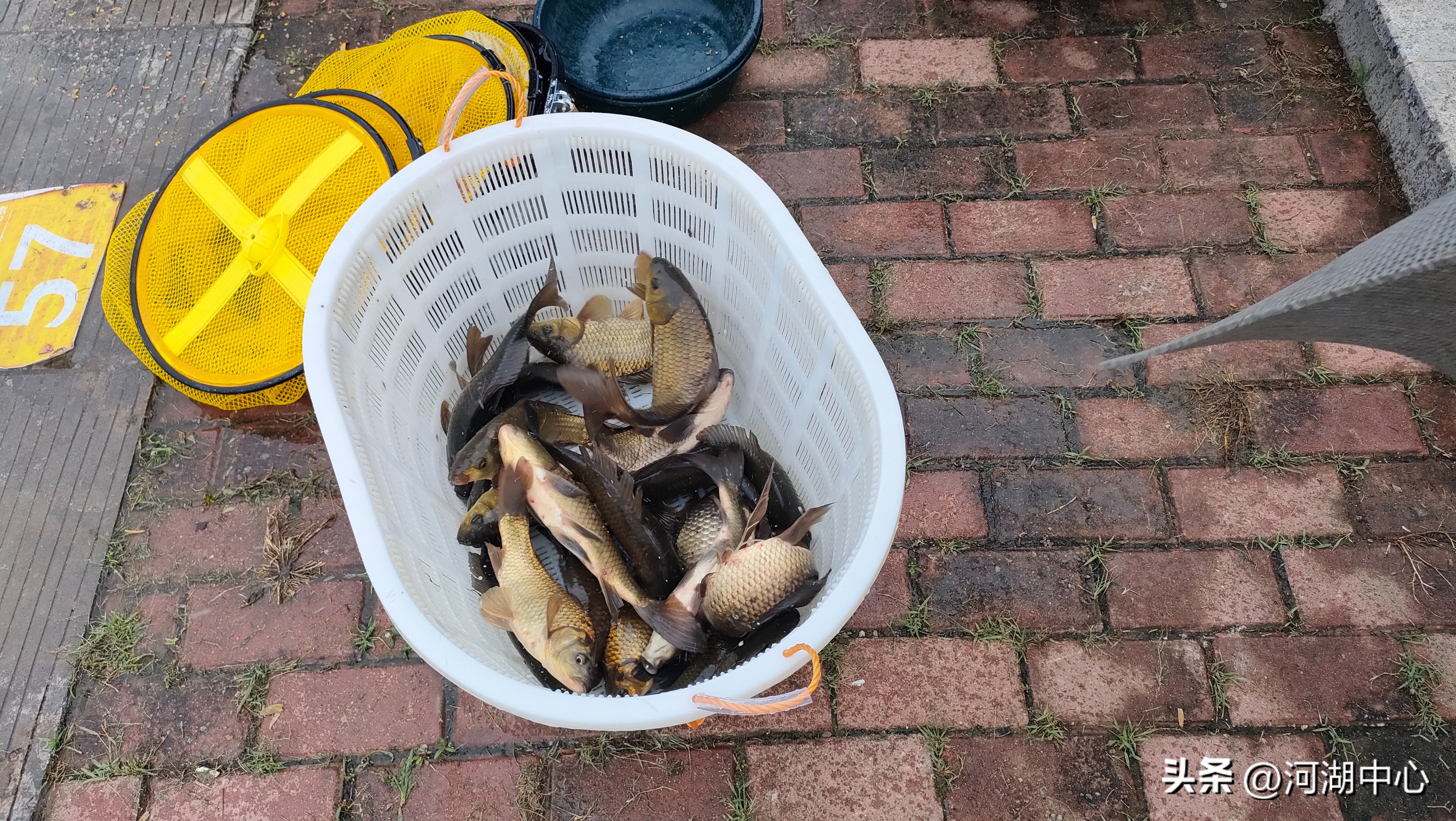 南阳市钓鱼比赛,渔乐无穷比赛