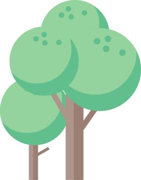 拔罐罐法,拔罐技术与方法