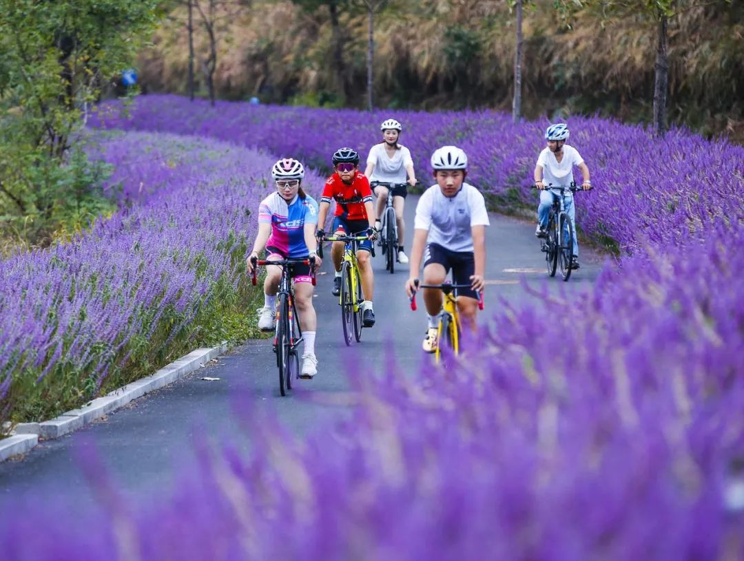 骑行爱好者讨钱,骑行爱好者求路费