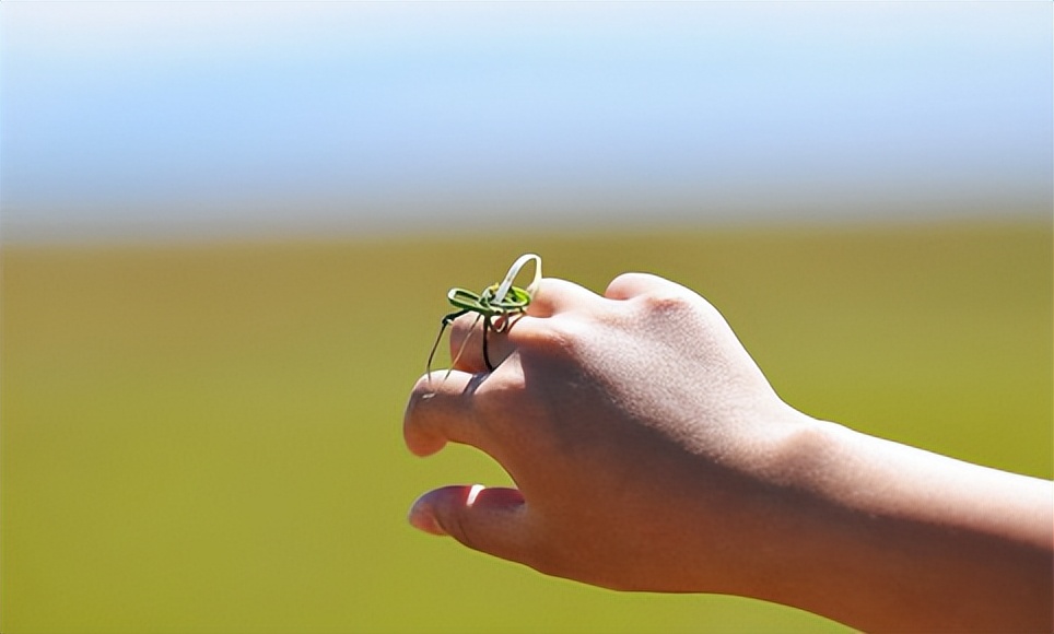 鍙や汉濠氭垝,鍙ゅ笇鑵婄殑鐖辨儏绁炶瘽
