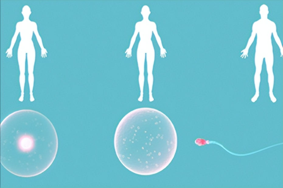 不孕症的中医治疗,山东省中医治疗不孕症名医