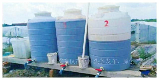 自己堆的肥料长虫长蛆怎么处理,施水肥后多虫子的原因