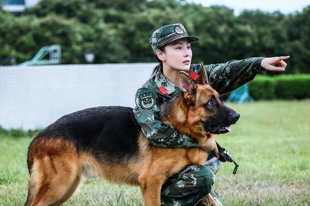 张馨予离过几次婚,张馨予婚后现在怎么样了