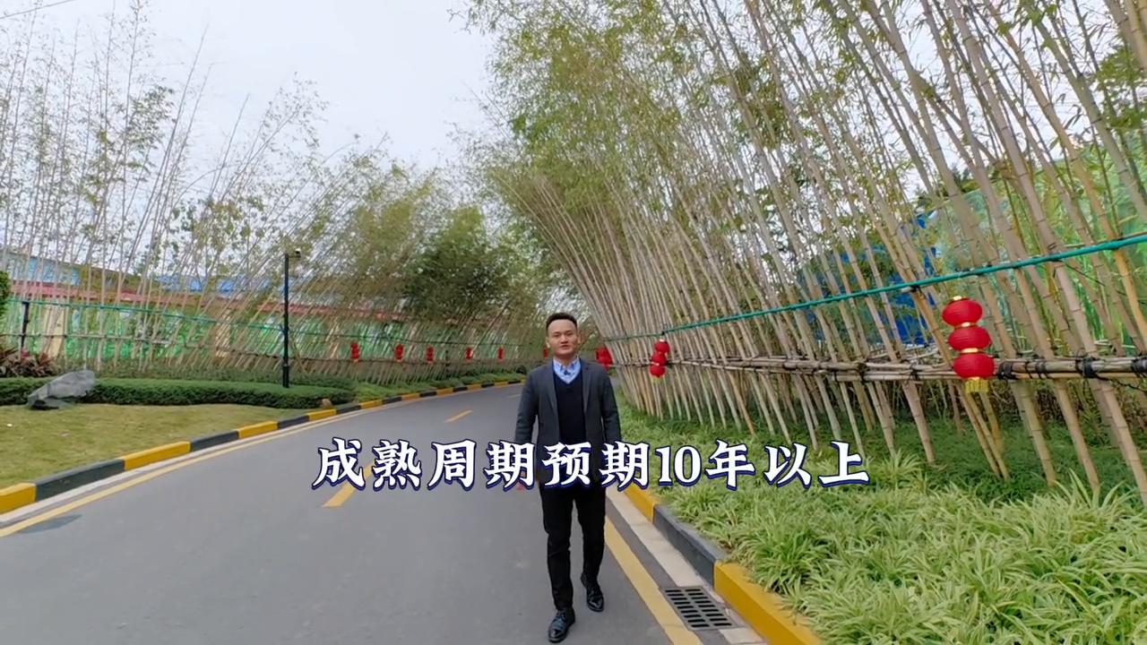 柳州荣和天筑楼盘地址,柳州河西荣和天筑四房