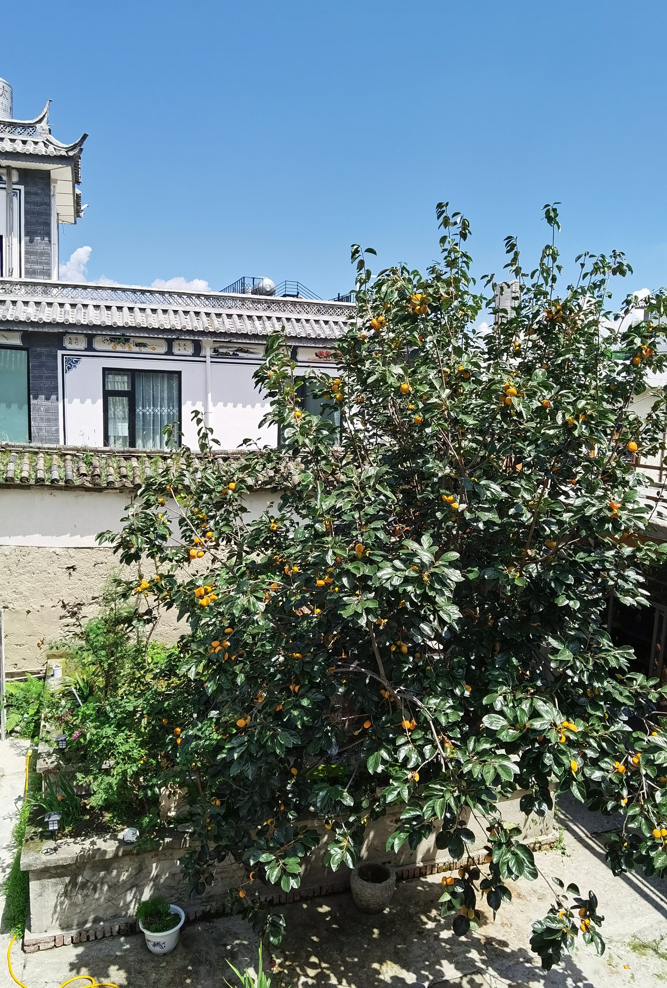 大理院子装修顺序攻略,大理民宿老屋怎样装修