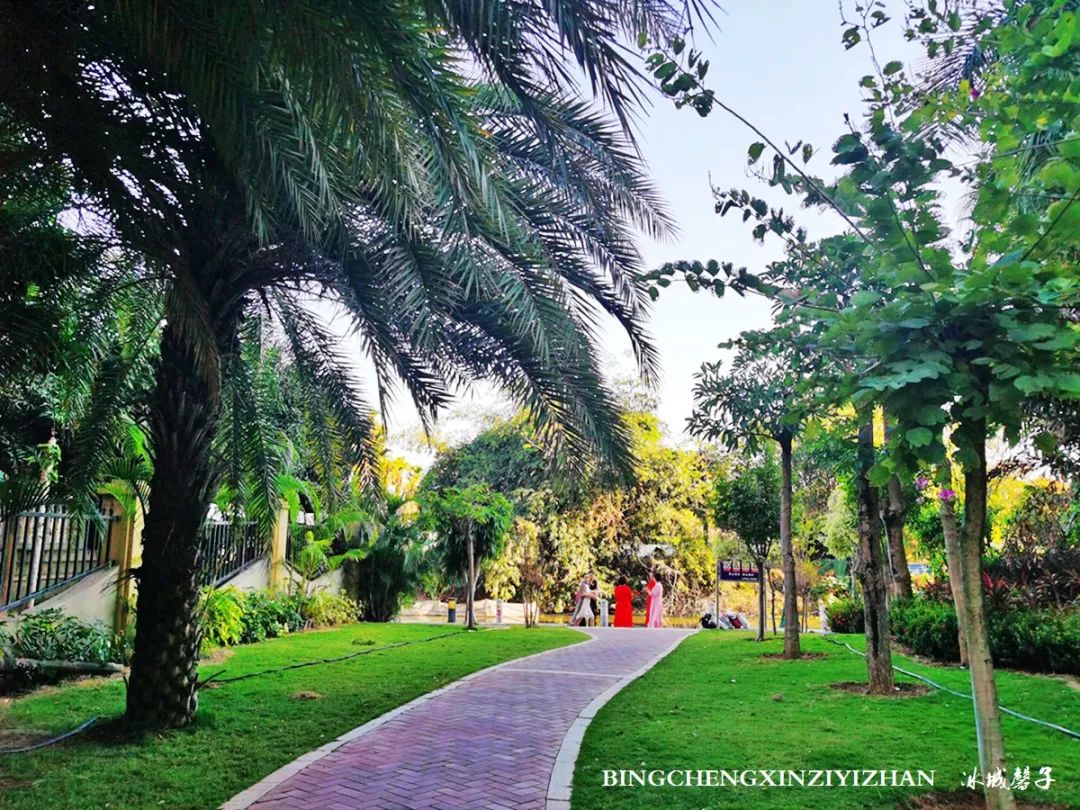 旅居海南：九所新区的浪漫情