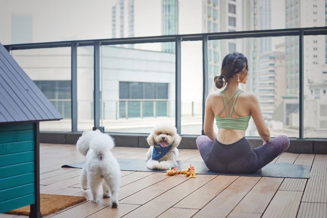 魔都宠物天地,魔都周边宠物友好景区
