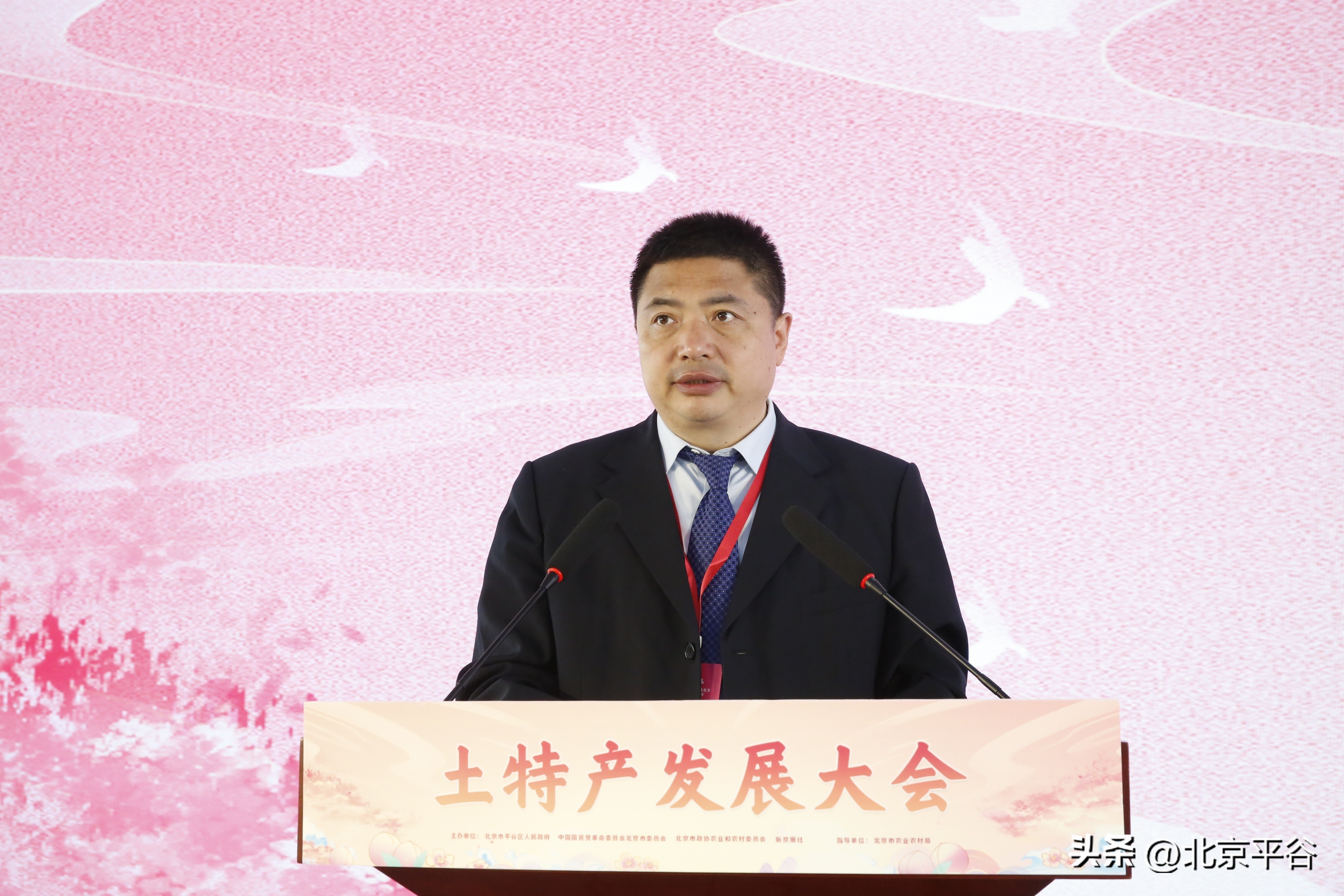 平谷土特产发展大会召开,平谷农业产品发展