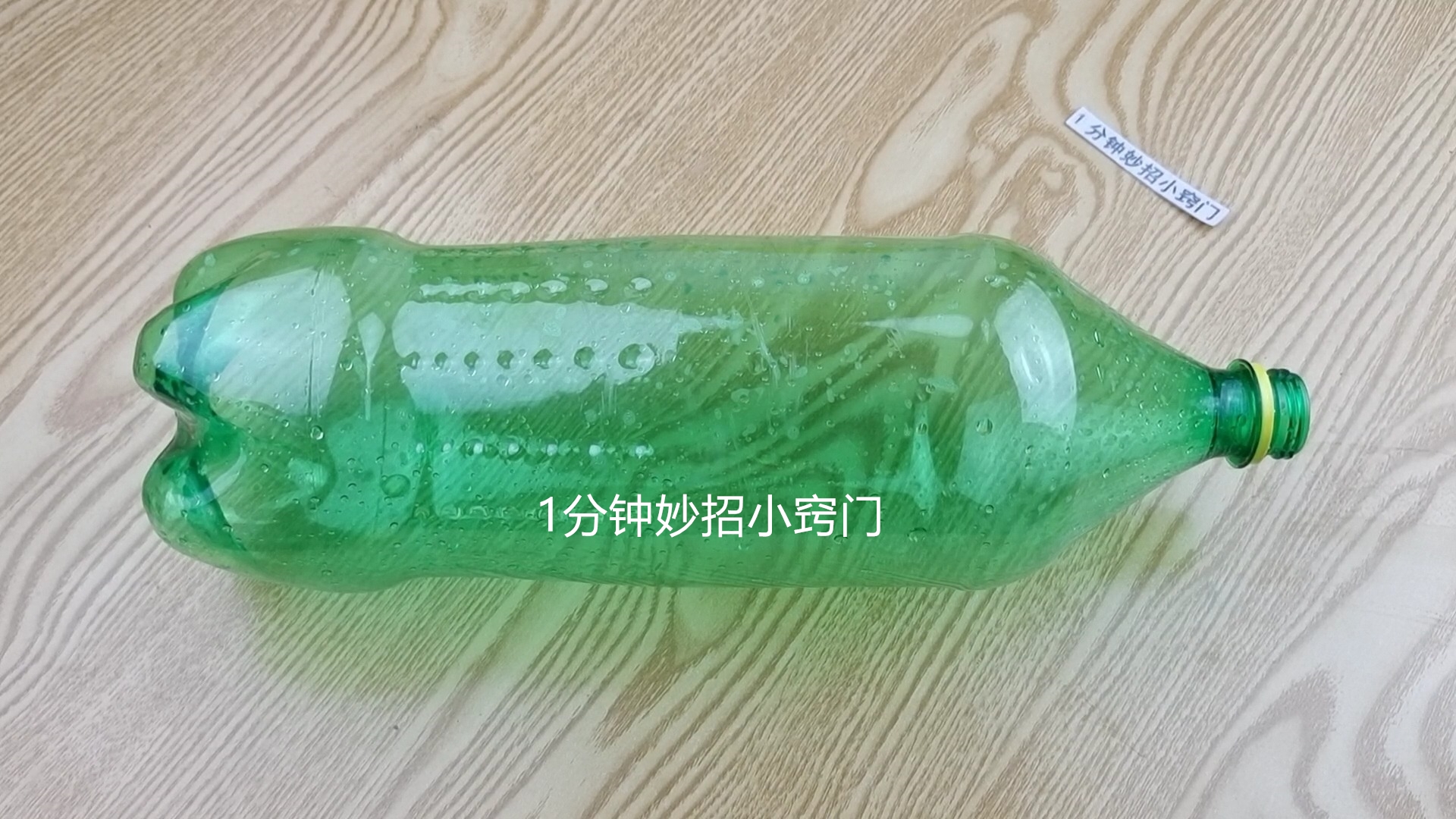 不用买老鼠药，只需要一个塑料瓶，老鼠来一只灭一只，安全又省事