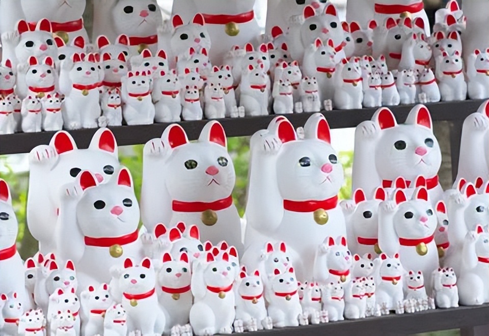 为什么有招财猫却没有招财狗鱼,为什么只有流浪猫没有流浪狗