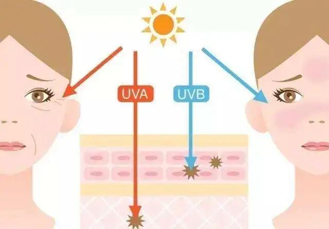 四效合一瘦身方案,四效合一全新升级