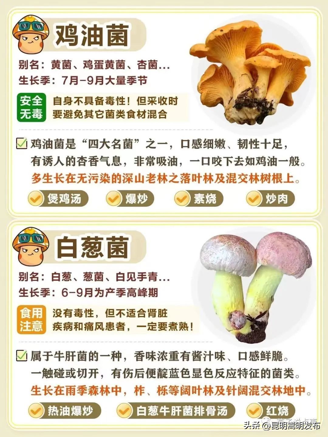 孩子开车撞人去自首,儿子开车撞人最后自首