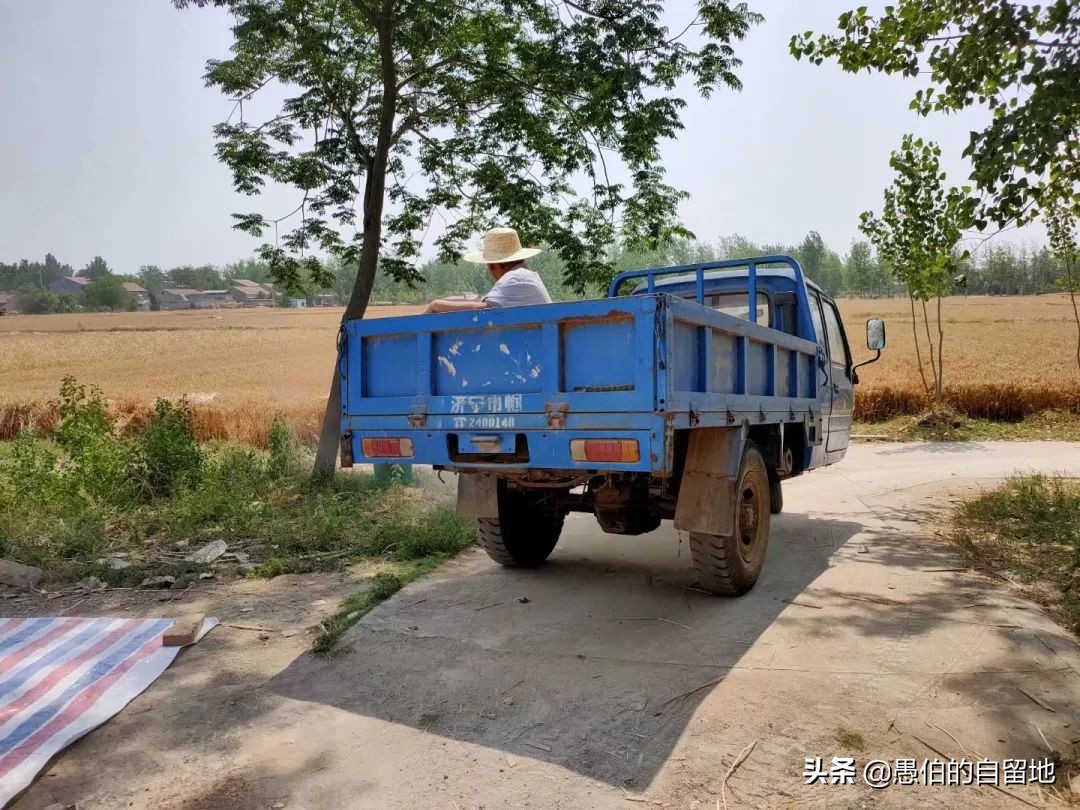 计划生育的真实过程,关于计划生育的真实事情