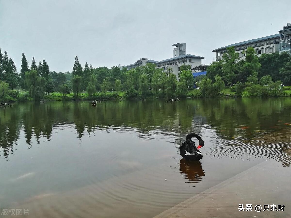 中国最难考的20所大学,中国985最好的20所大学名单排名