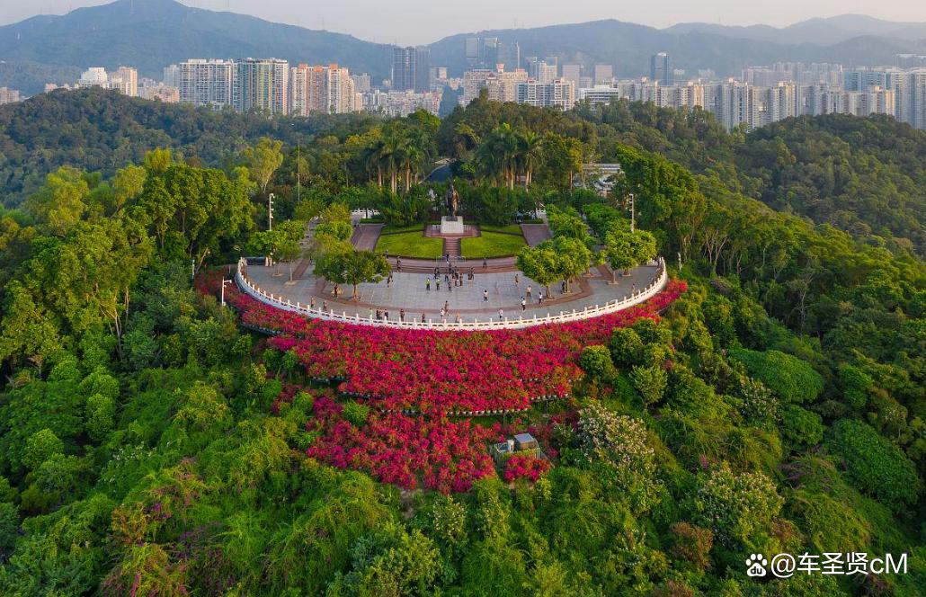 深圳莲花山公园风景,深圳人气最旺的公园