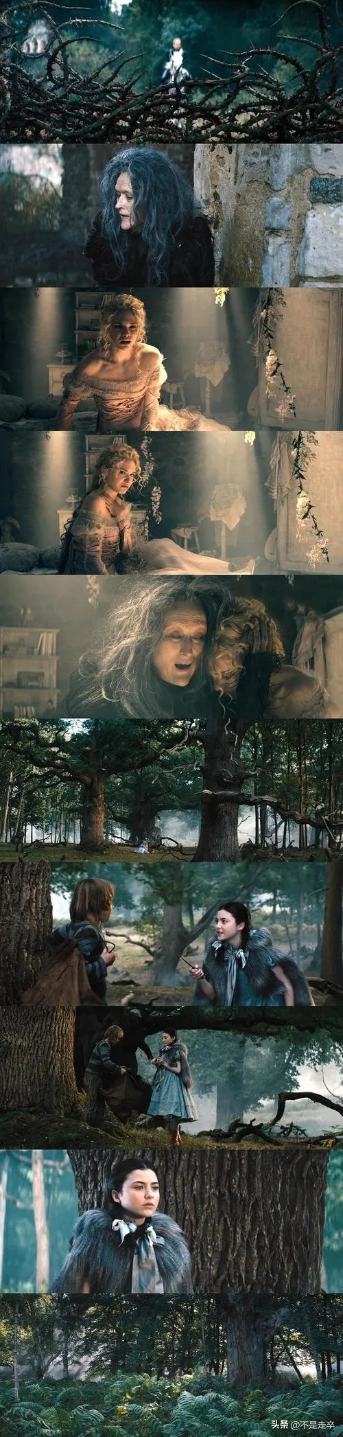 黑暗森林中的奇幻冒险,魔法黑森林看法