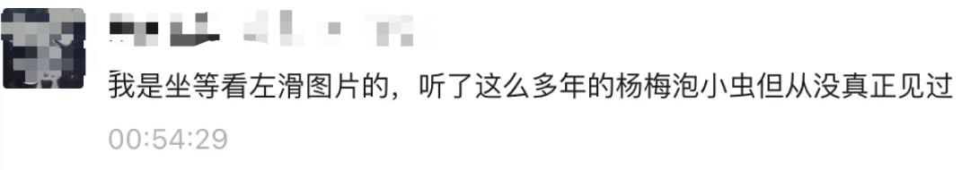 为什么盐水可以泡出杨梅中的虫子,杨梅用盐水泡多久泡出虫子