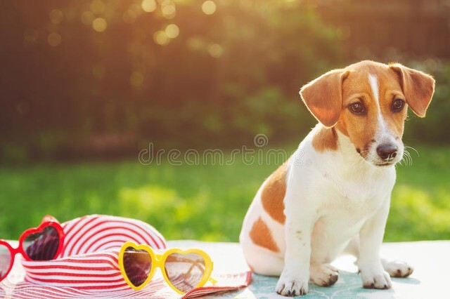 老年人长老年斑跟寿命有关联吗,老年人手上长老年斑是怎么回事