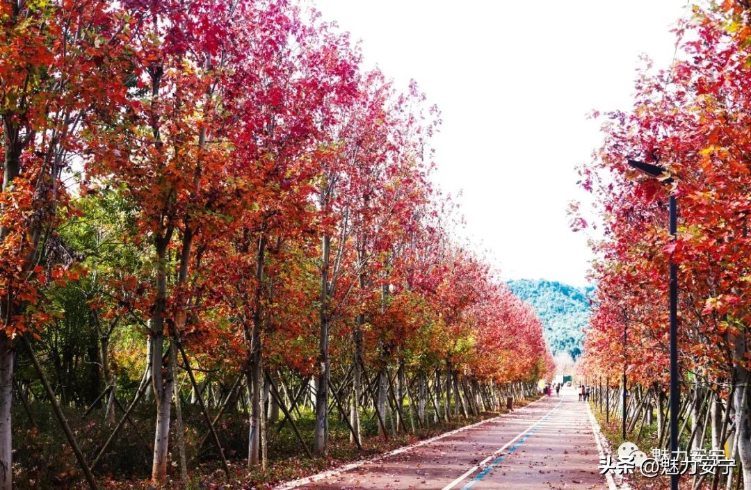 鐖变笂杩欒瘲鎰忕殑鐢熸椿,鐖变笂杩欒瘲鎯呯敾鎰忕殑鐢熸椿