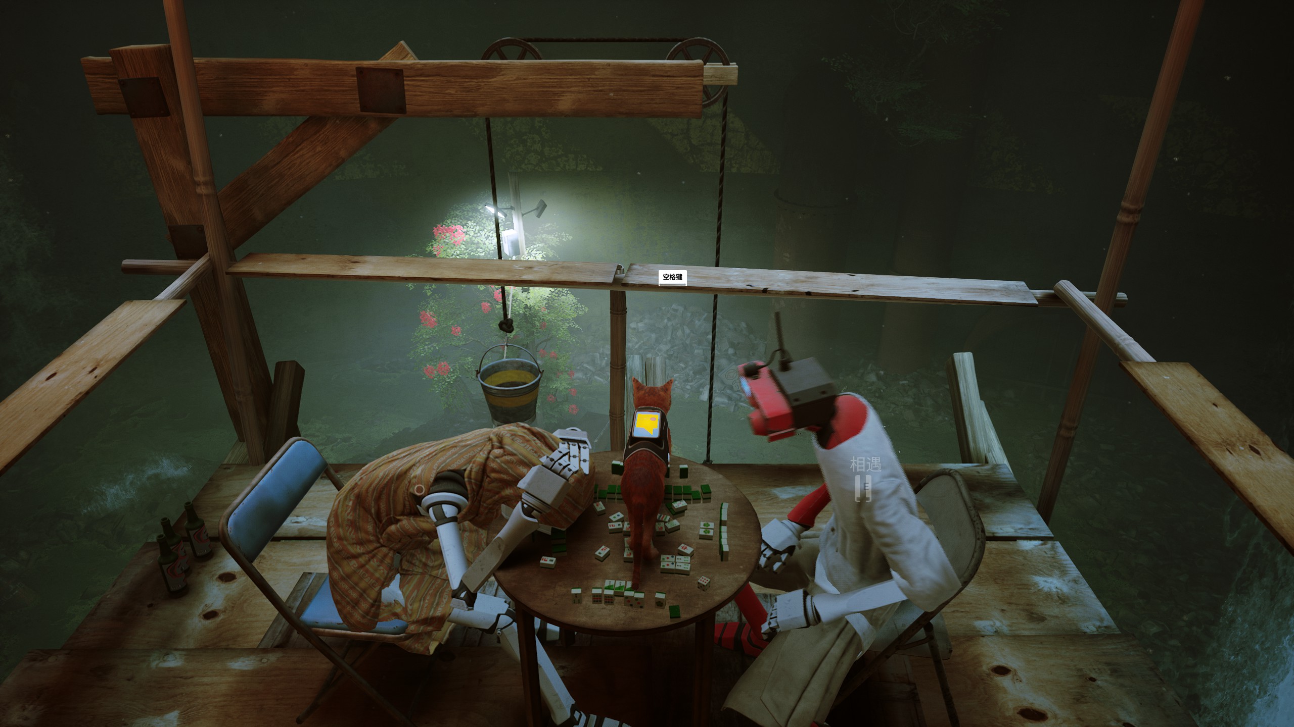 stray新游戏,stray这个游戏怎么样