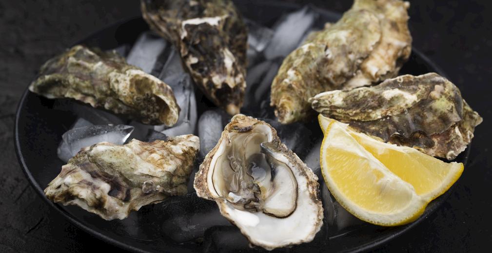 诗中溢出东坡味！海口邀您来尝鲜！