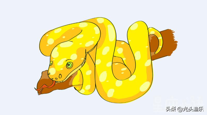 巨蛇为蟒巨蟒为蚺,大蛇为蟒大蟒为蚺什么意思