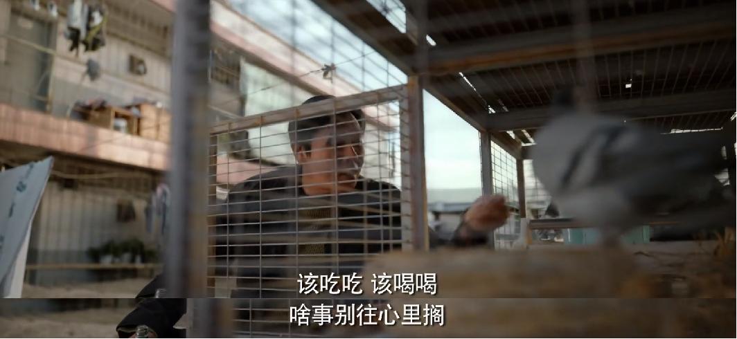 东北人怎么样,东北人怎么样很能装