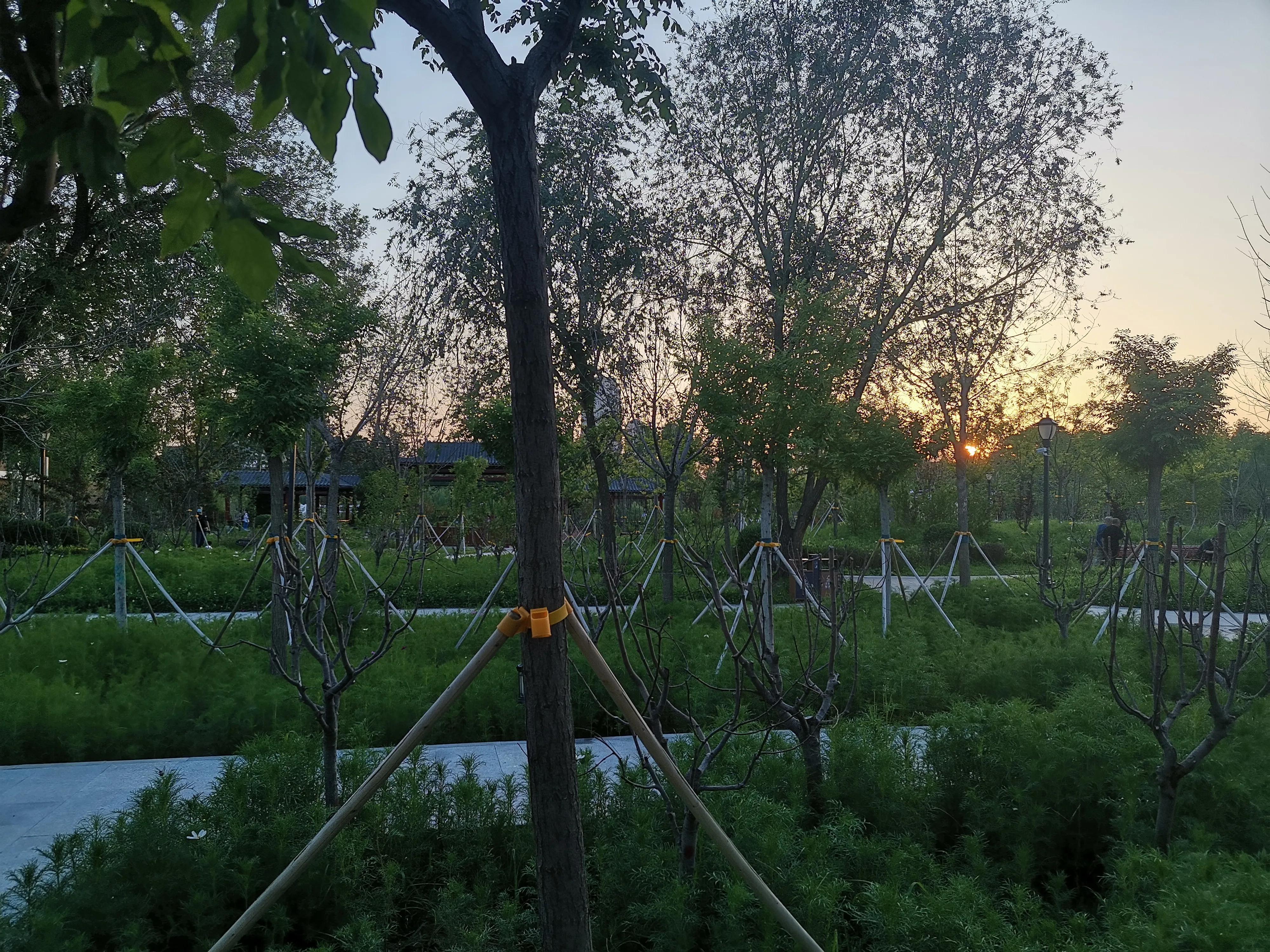 夕阳西下的公园景色,夕阳西下公园里的美景