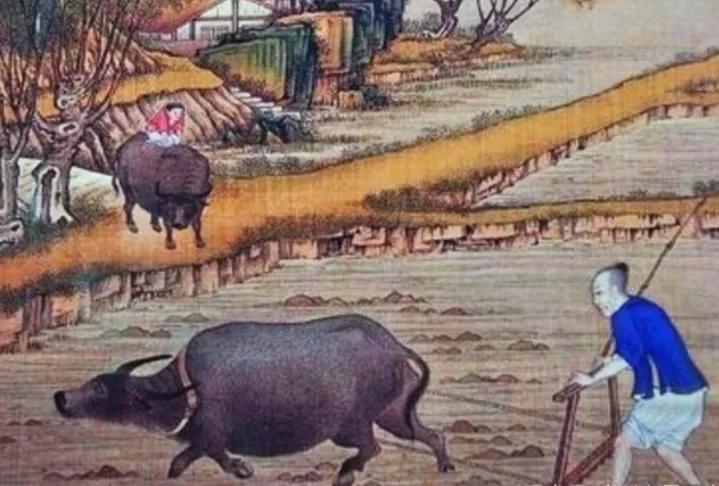 20年前的泰兴黄桥照片,黄桥的历史有多少年