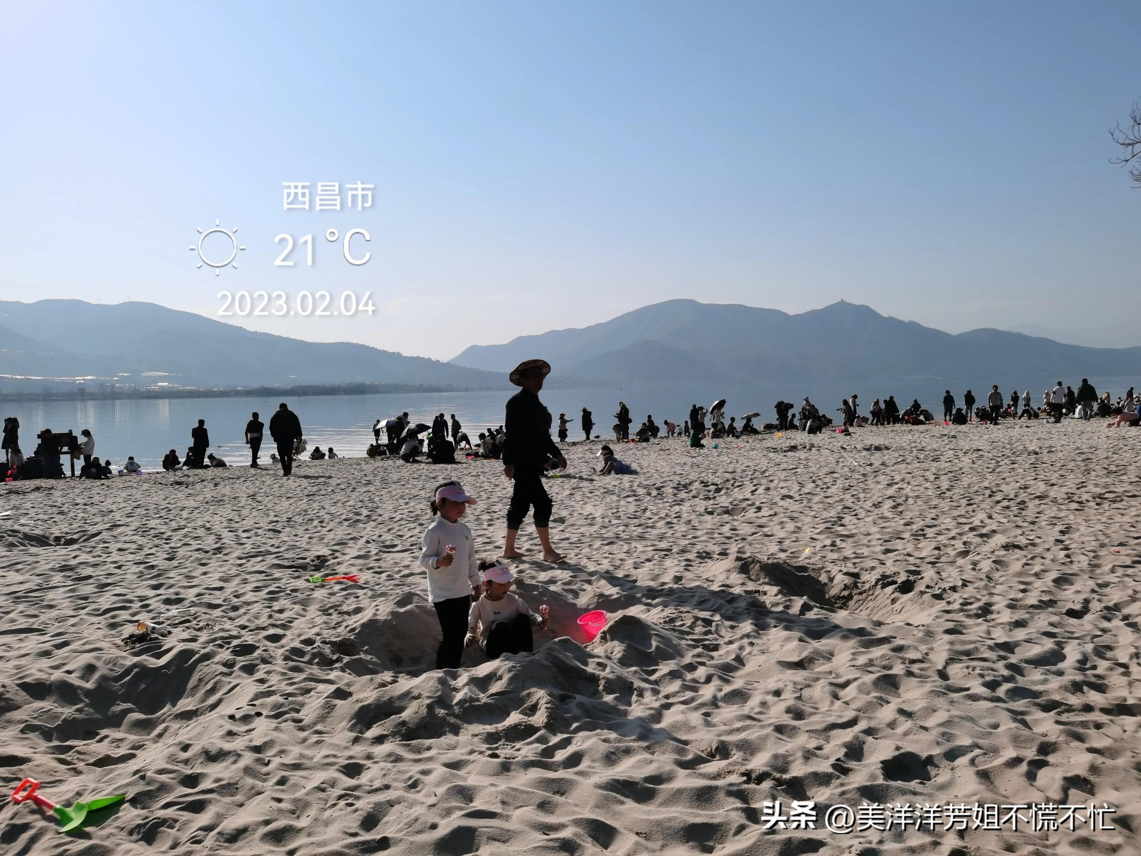 西昌邛海什么时候有海鸥,冬季去西昌邛海喂海鸥