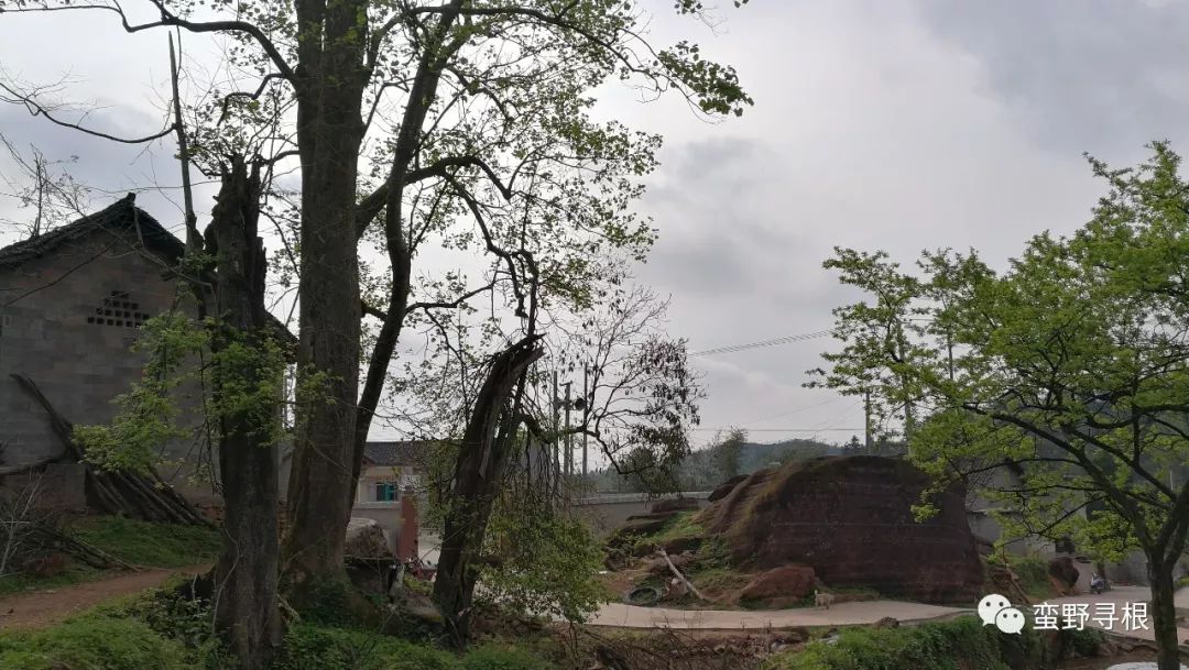 湘西苗疆,湖南湘西苗疆