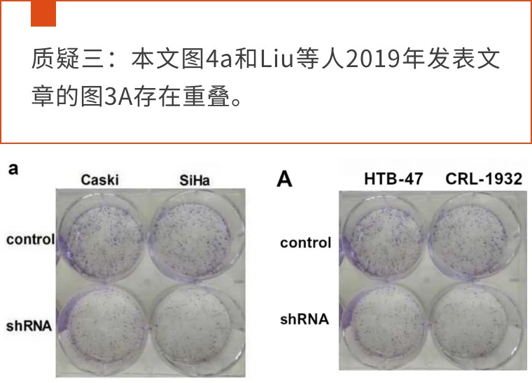 天津医科大学第二医院的9分论文遭评议！疑似与同期论文多图重叠