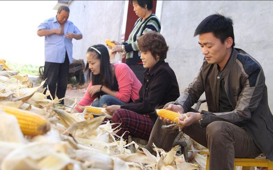 草根出身的王宝强成名之后的经历,王宝强就是娱乐圈的一股清流