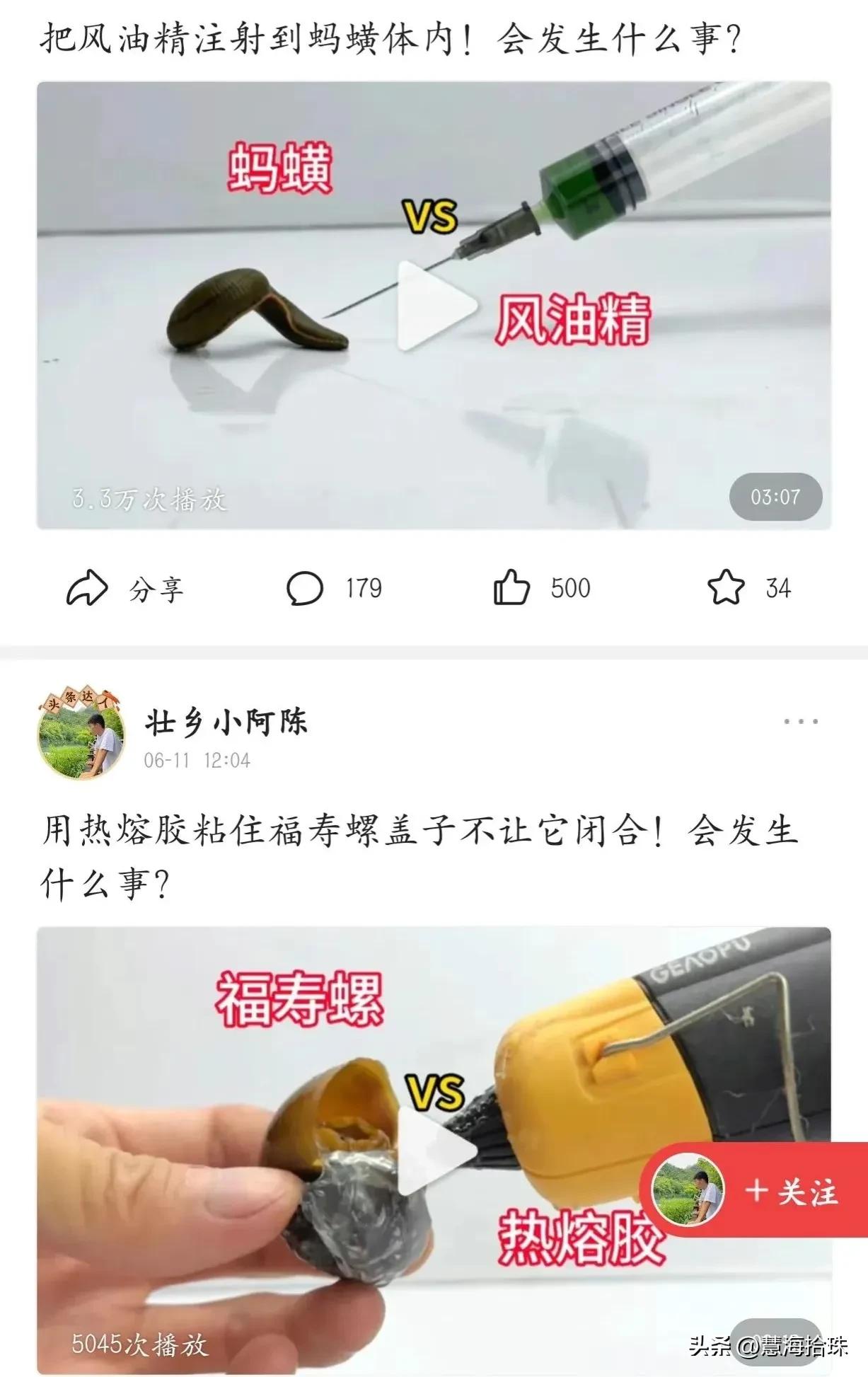 为什么有些人喜欢杀动物,为什么有人会虐猫或虐狗